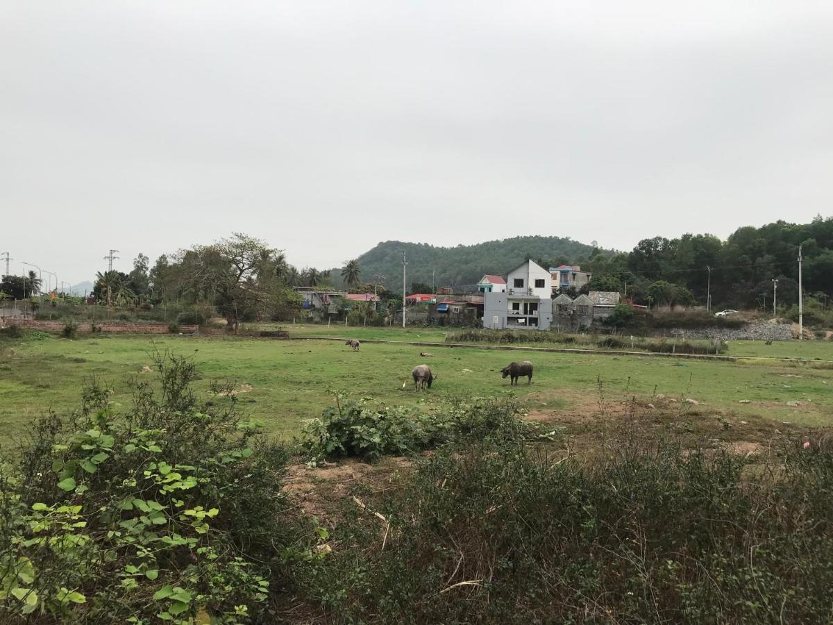 Bee Lucky Homestay Xuan Dam Εξωτερικό φωτογραφία