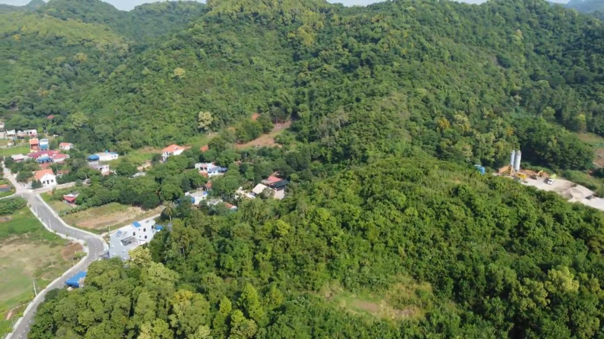 Bee Lucky Homestay Xuan Dam Εξωτερικό φωτογραφία
